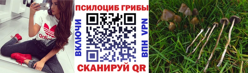 мега ссылки Катав-Ивановск Галлюциногенные грибы мицелий